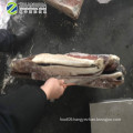 Frozen Peru Giant Squid Wing Black Squid